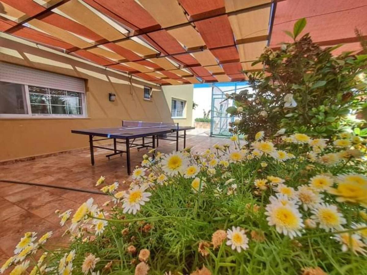 Villa Zee マダバ エクステリア 写真